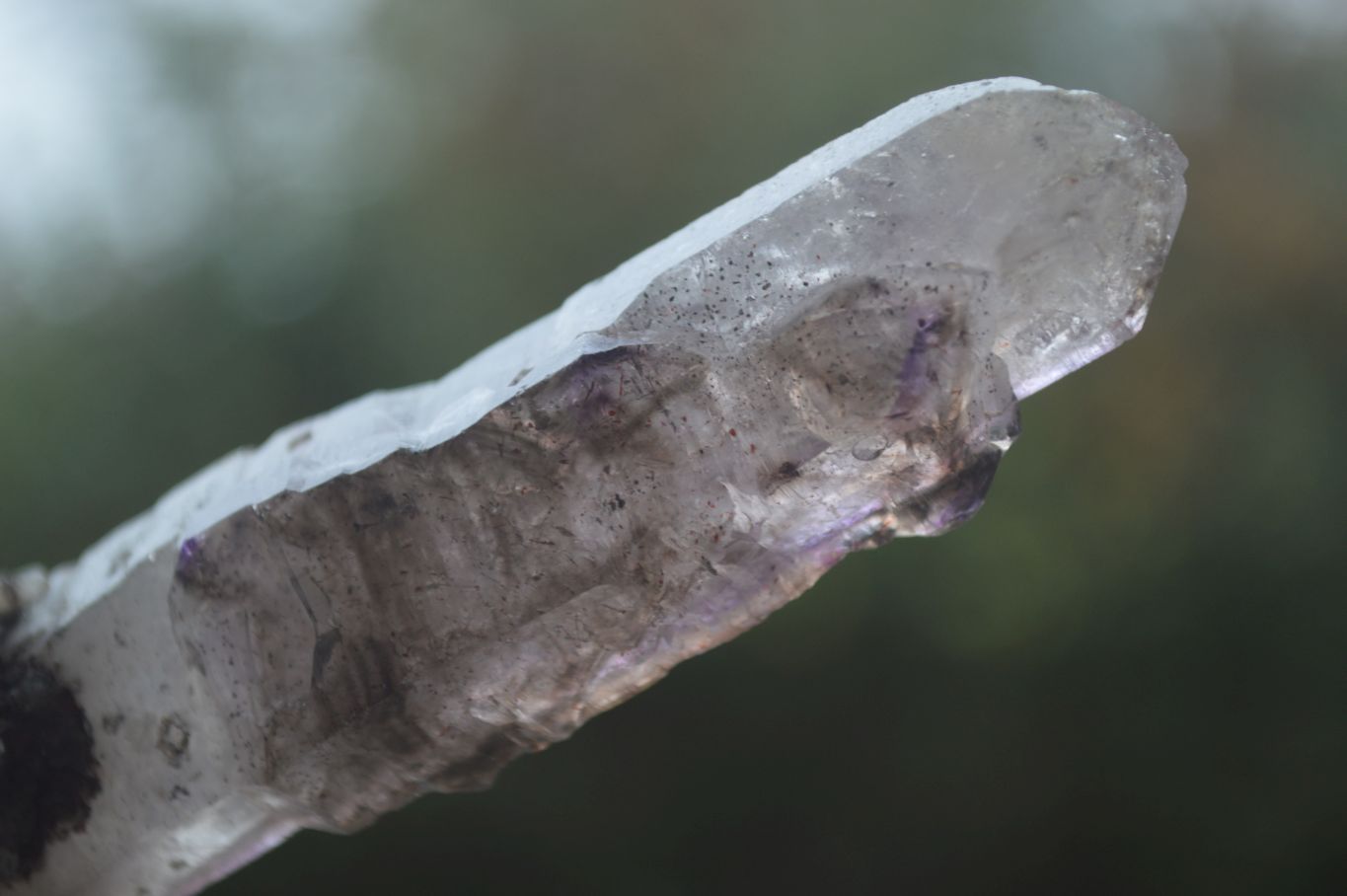 Natural Large Smokey Amethyst / Window Amethyst Crystals  x 6 From Chiredzi, Zimbabwe - Toprock Gemstones and Minerals 