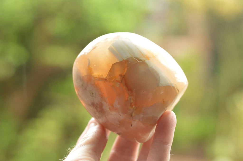 Polished Coral Flower Agate Standing Free Forms  x 3 From Madagascar - TopRock