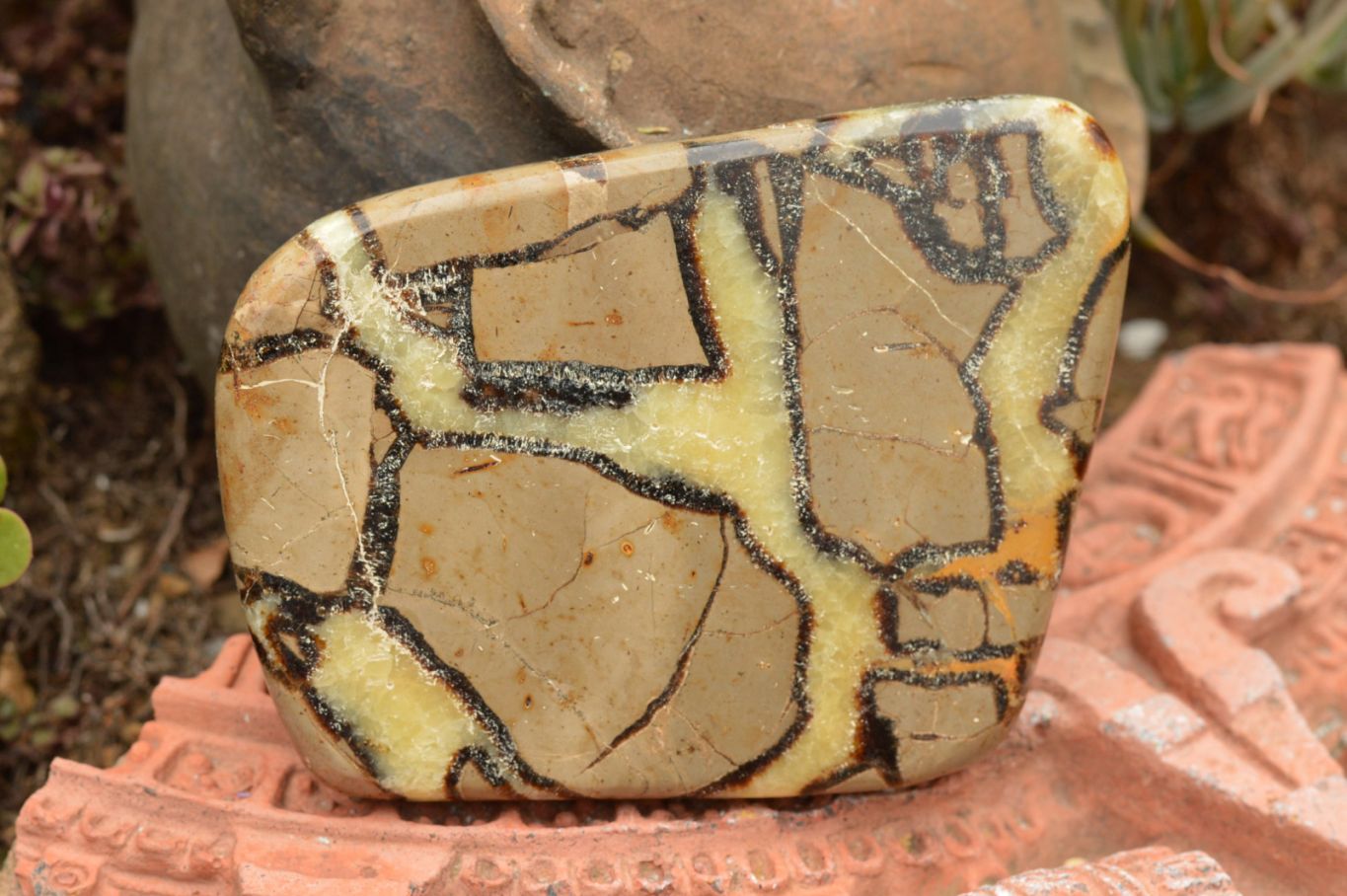 Polished Septerye (Calcite & Aragonite) Slices  x 4 From Mahajanga, Madagascar - TopRock