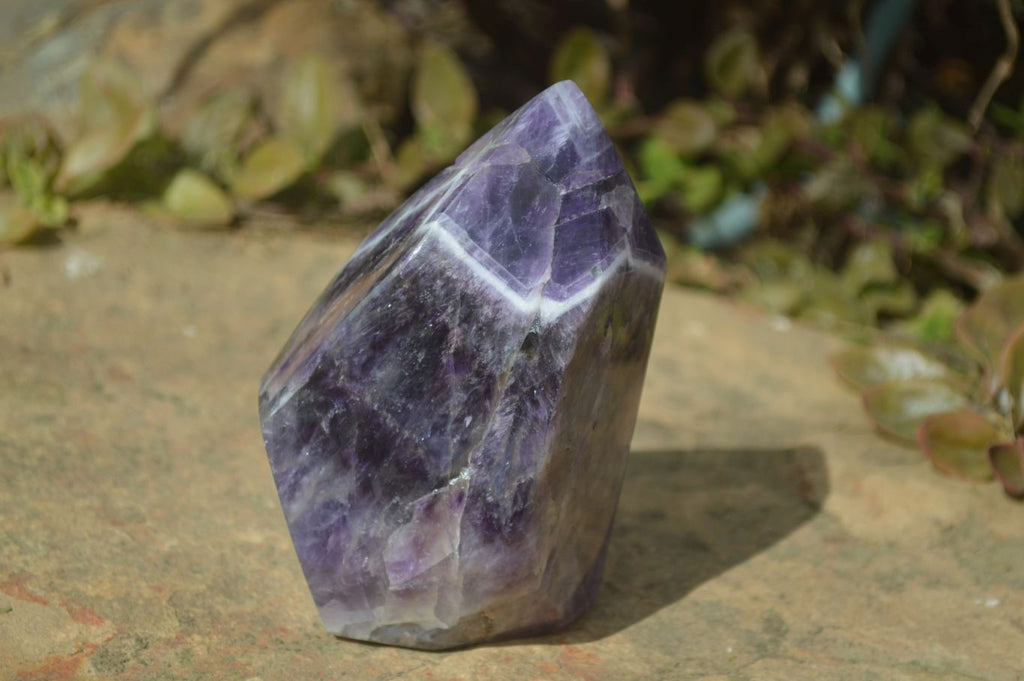 Polished Chevron Amethyst Point x 1 From Zambia - Toprock Gemstones and Minerals 