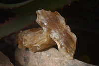 Natural Honey Aragonite Etched & Cobbed Pieces  x 35 From Namibia - Toprock Gemstones and Minerals 
