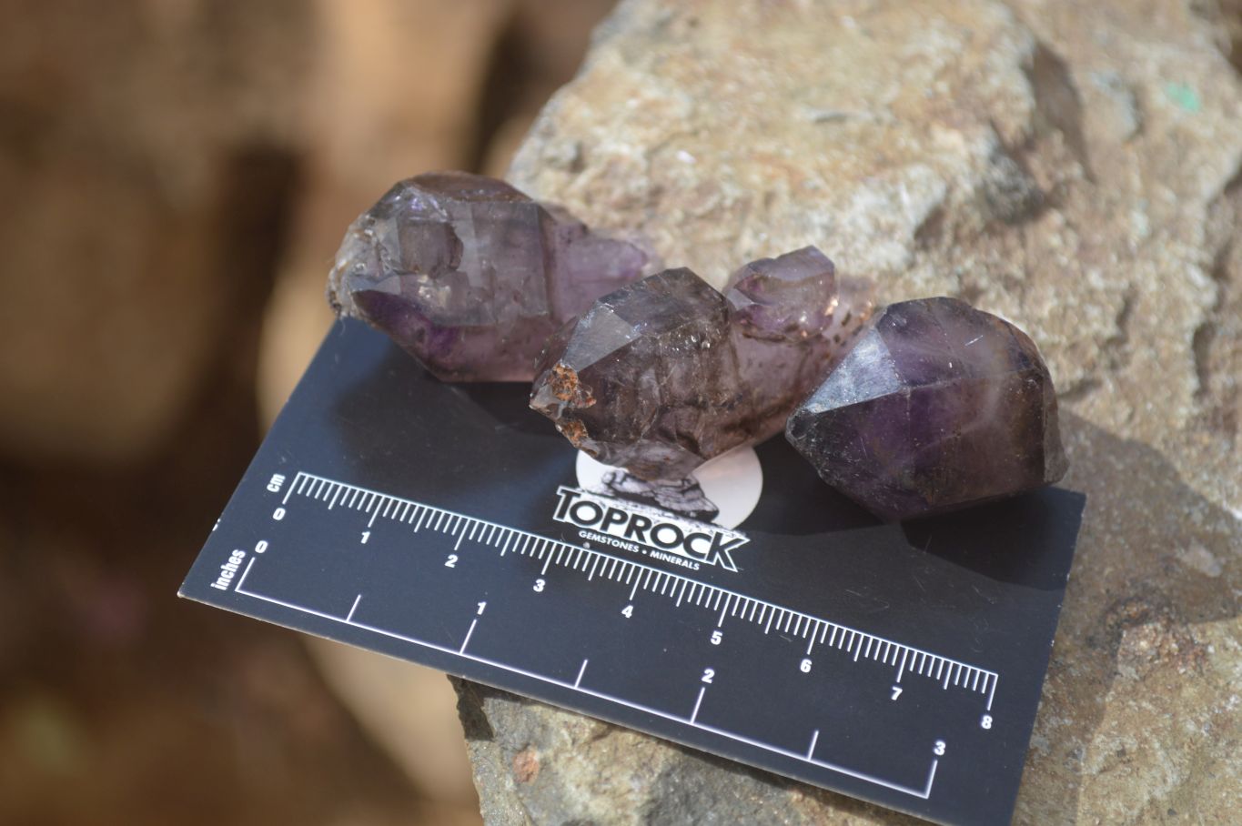 Natural Window Amethyst Crystals  x 12 From Chiredzi, Zimbabwe - Toprock Gemstones and Minerals 