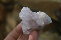 Natural Mixed Spirit Quartz Clusters x 12 From Boekenhouthoek, South Africa - Toprock Gemstones and Minerals 