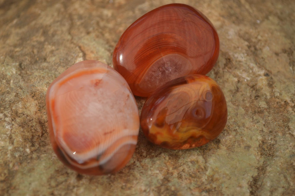 Polished  Small Carnelian Agate Free Forms  x 42 From Madagascar - Toprock Gemstones and Minerals 