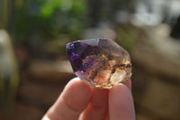 Polished Single Window Amethyst Crystals x 20 From Ankazobe, Madagascar - Toprock Gemstones and Minerals 