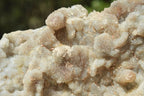 Natural Fairy Spirit Quartz Fingers & Or Clusters x 5 From Boekenhouthoek, South Africa - TopRock