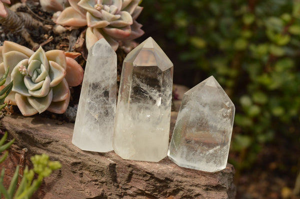 Polished Stunning Semi Optic Quartz Points  x 12 From Madagascar