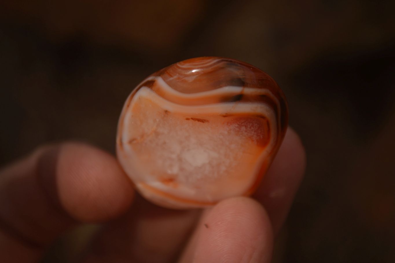 Polished  Small Carnelian Agate Free Forms  x 42 From Madagascar - Toprock Gemstones and Minerals 