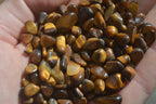 Polished Mini Craft Golden Tigers Eye Tumble Stones - Sold per 500 g - From Prieska, South Africa - Toprock Gemstones and Minerals 
