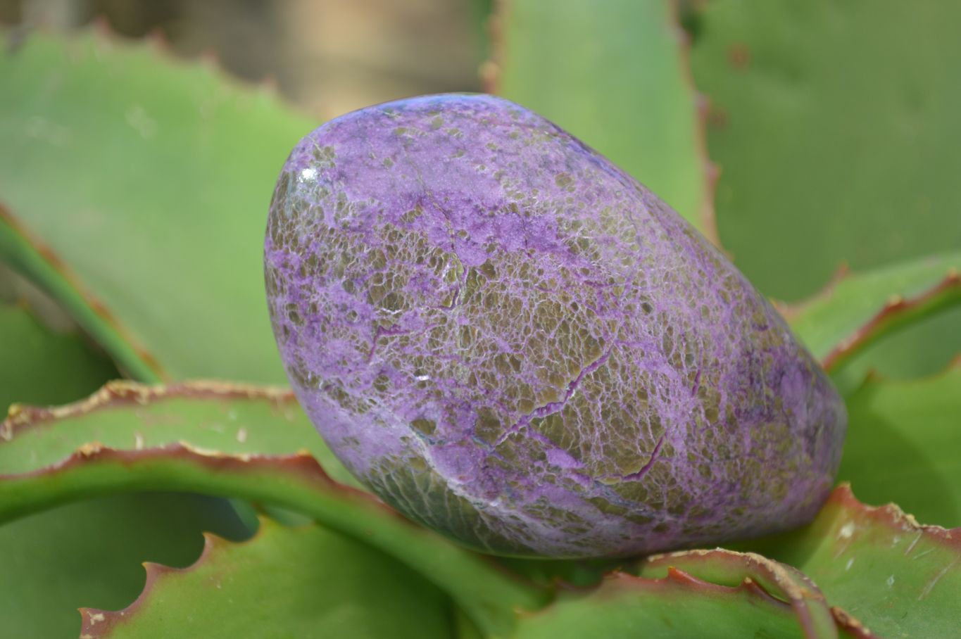 Polished Stichtite & Serpentine Standing Free Forms x 4 From Barberton, South Africa - Toprock Gemstones and Minerals 