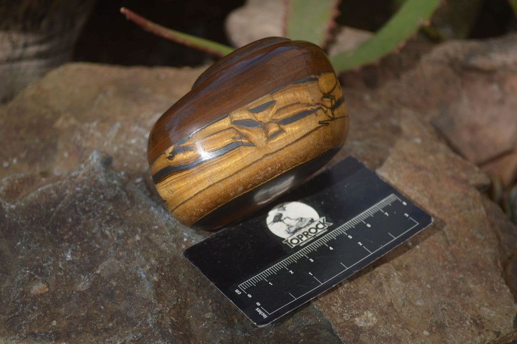 Polished Golden Tigers Eye Free Forms x 3 From Prieska, Northern Cape - Toprock Gemstones and Minerals 