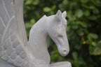 Polished White Marble Pegasus Carving x 1 From Zimbabwe - Toprock Gemstones and Minerals 