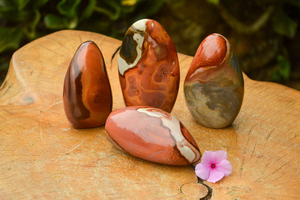 Polished Polychrome Jasper Standing Free Forms x 4 From North West Coast, Madagascar - TopRock