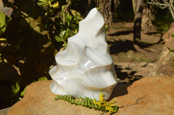 Polished White Agate Flame Sculpture With Stunning Banding Patterns  x 1 From Madagascar - TopRock