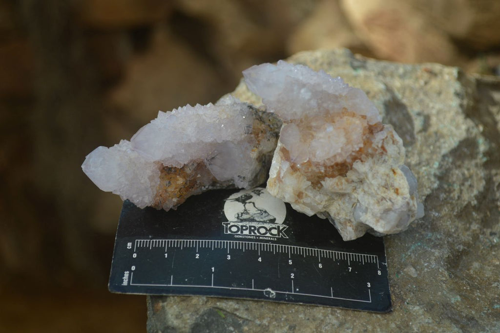 Natural Mixed Spirit Quartz Clusters x 12 From Boekenhouthoek, South Africa - Toprock Gemstones and Minerals 