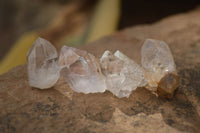 Natural Small Clear & Smokey Quartz Crystals  x 48 From Brandberg, Namibia - Toprock Gemstones and Minerals 