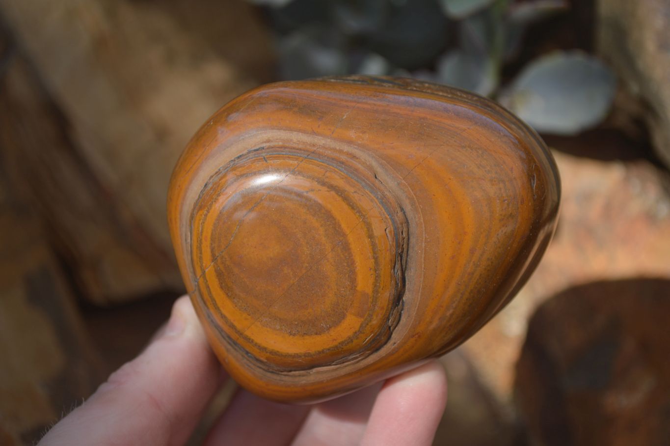 Polished Golden Tigers Eye Free Forms x 3 From Prieska, Northern Cape - Toprock Gemstones and Minerals 