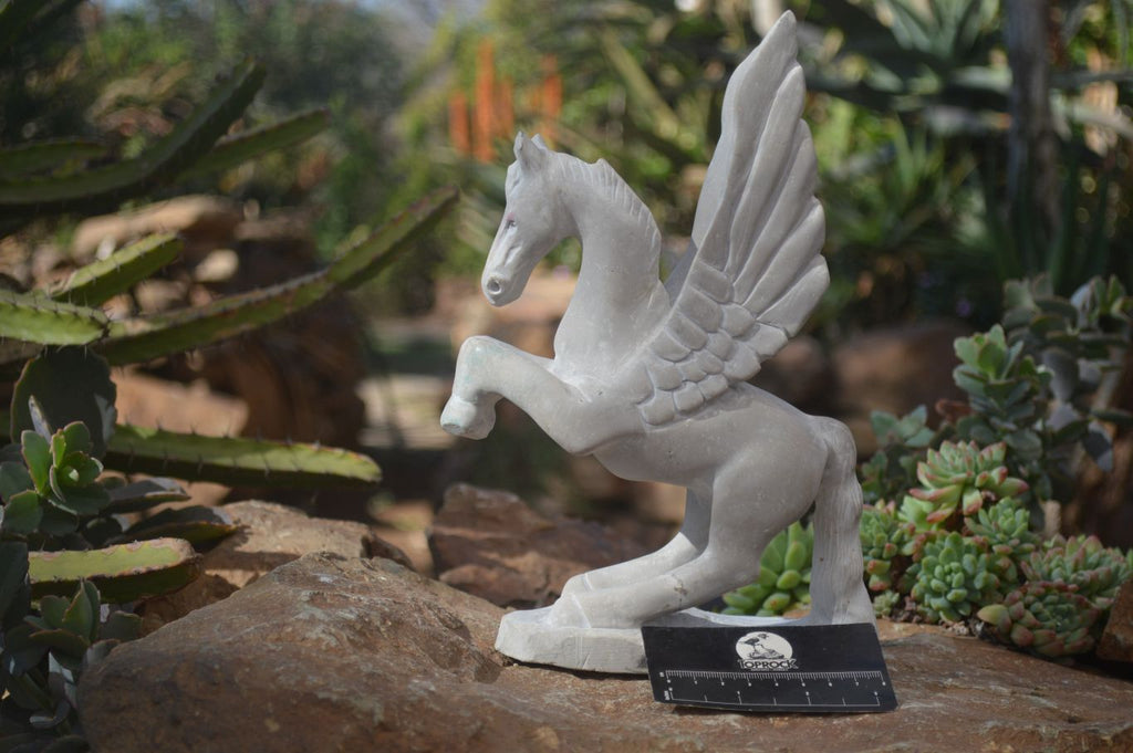 Polished White Marble Pegasus Carving x 1 From Zimbabwe - Toprock Gemstones and Minerals 