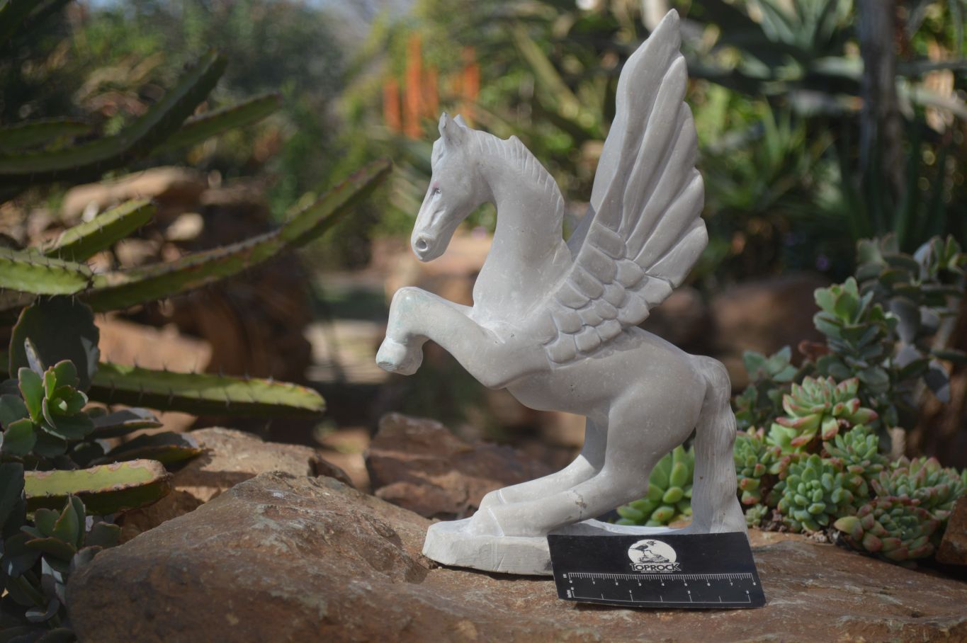Polished White Marble Pegasus Carving x 1 From Zimbabwe - Toprock Gemstones and Minerals 