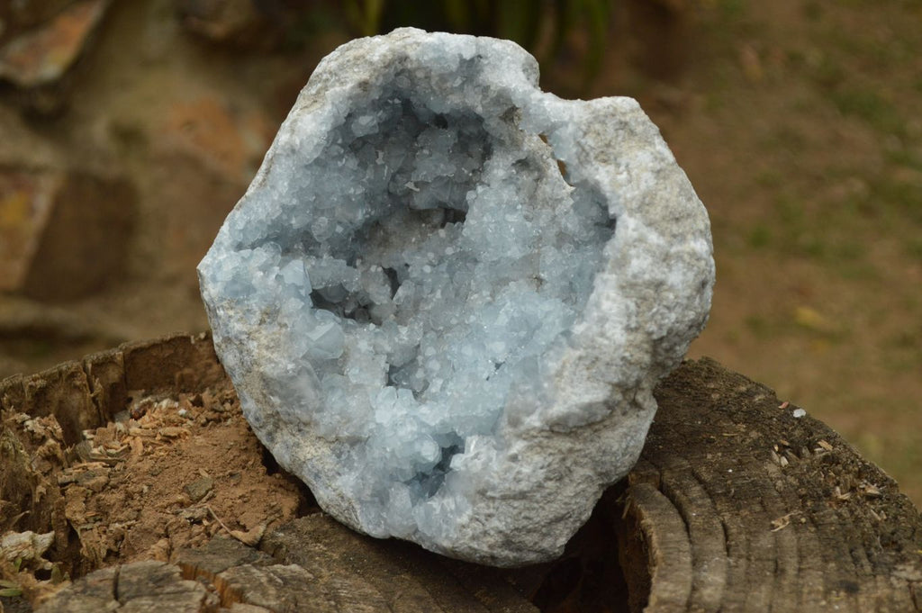 Natural Gorgeous Crystalline Pale Blue Celestite Geode Specimen  x 1 From Sakoany, Madagascar - TopRock