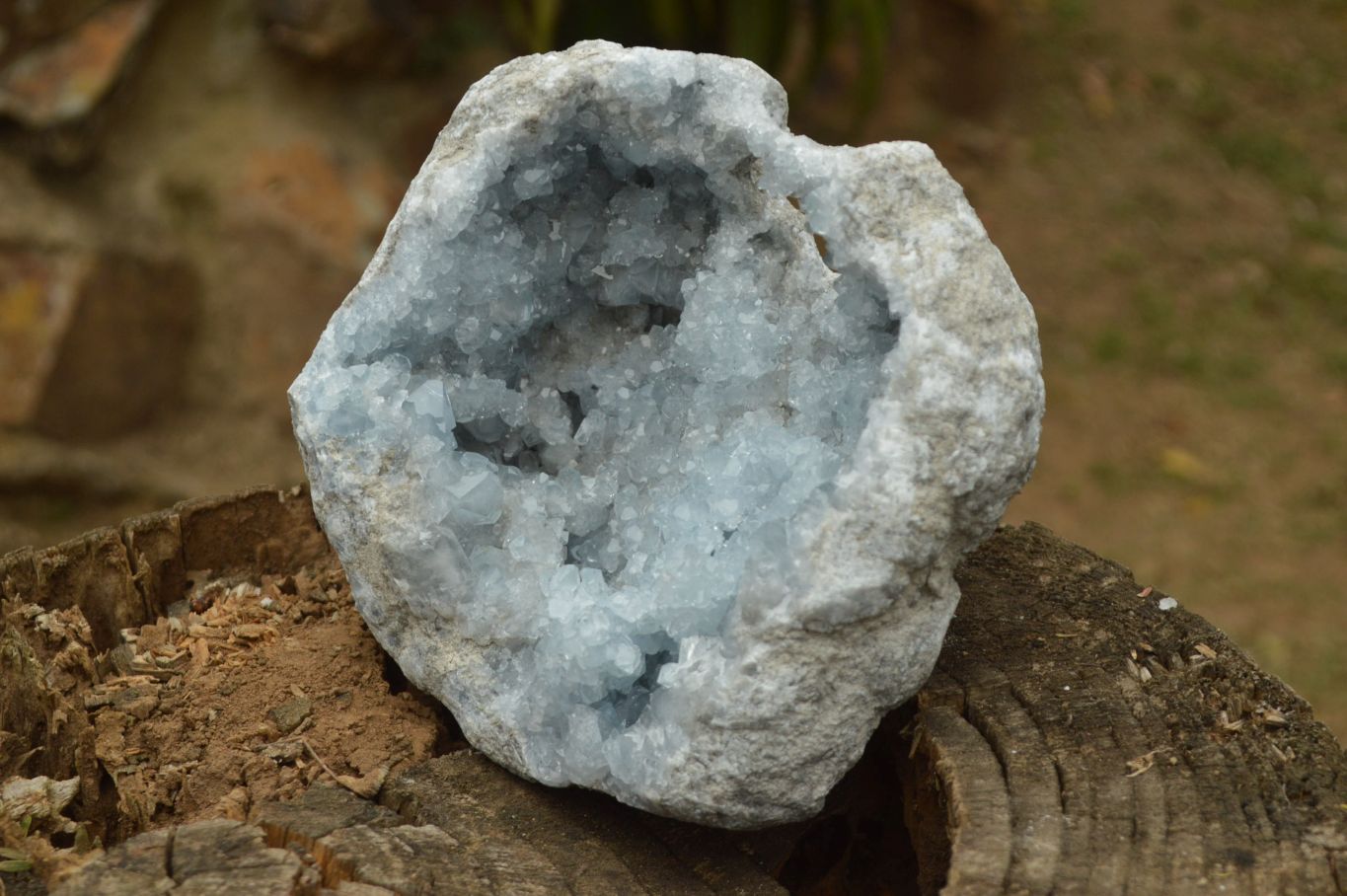 Natural Gorgeous Crystalline Pale Blue Celestite Geode Specimen  x 1 From Sakoany, Madagascar - TopRock