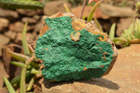 Natural Micro Botryoidal Malachite on Matrix Specimens  x 2 From Tenke Fungurume, Congo - TopRock