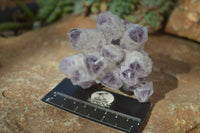 Natural Sugar Amethyst Clusters  x 4 From Solwezi, Zambia