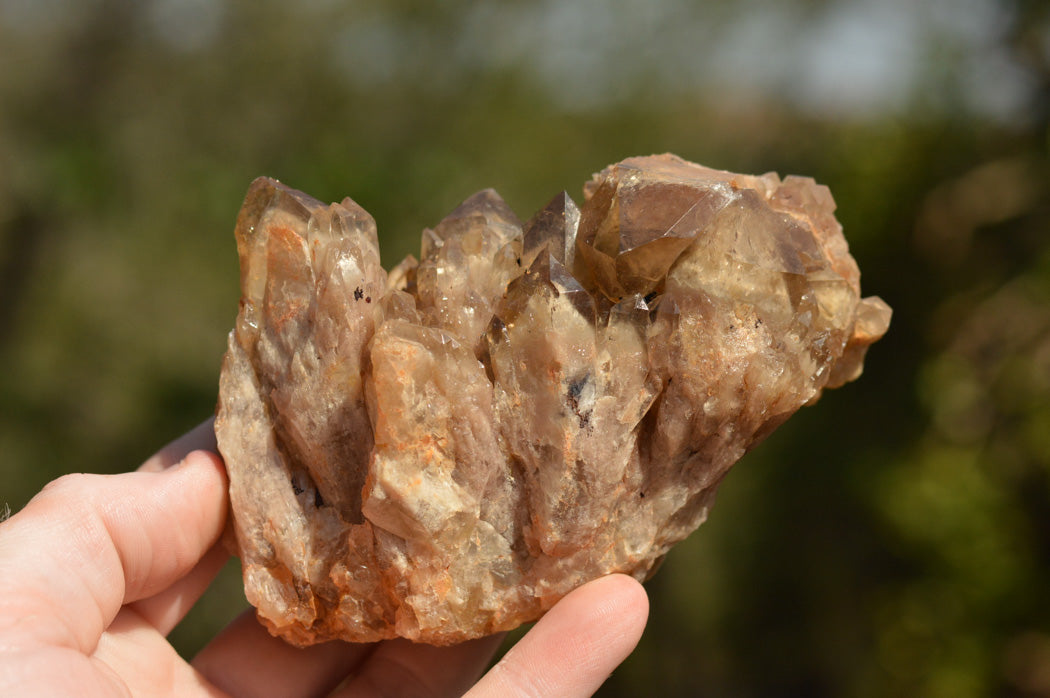 Natural Smokey Phantom Quartz Clusters x 2 From Luena, Congo - TopRock