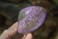 Polished Stichtite & Serpentine Standing Free Forms x 4 From Barberton, South Africa - Toprock Gemstones and Minerals 
