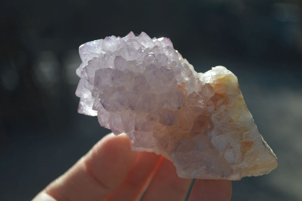 Natural Mixed Spirit Quartz Clusters x 12 From Boekenhouthoek, South Africa - Toprock Gemstones and Minerals 