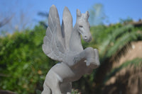 Polished White Marble Pegasus Carving x 1 From Zimbabwe - Toprock Gemstones and Minerals 