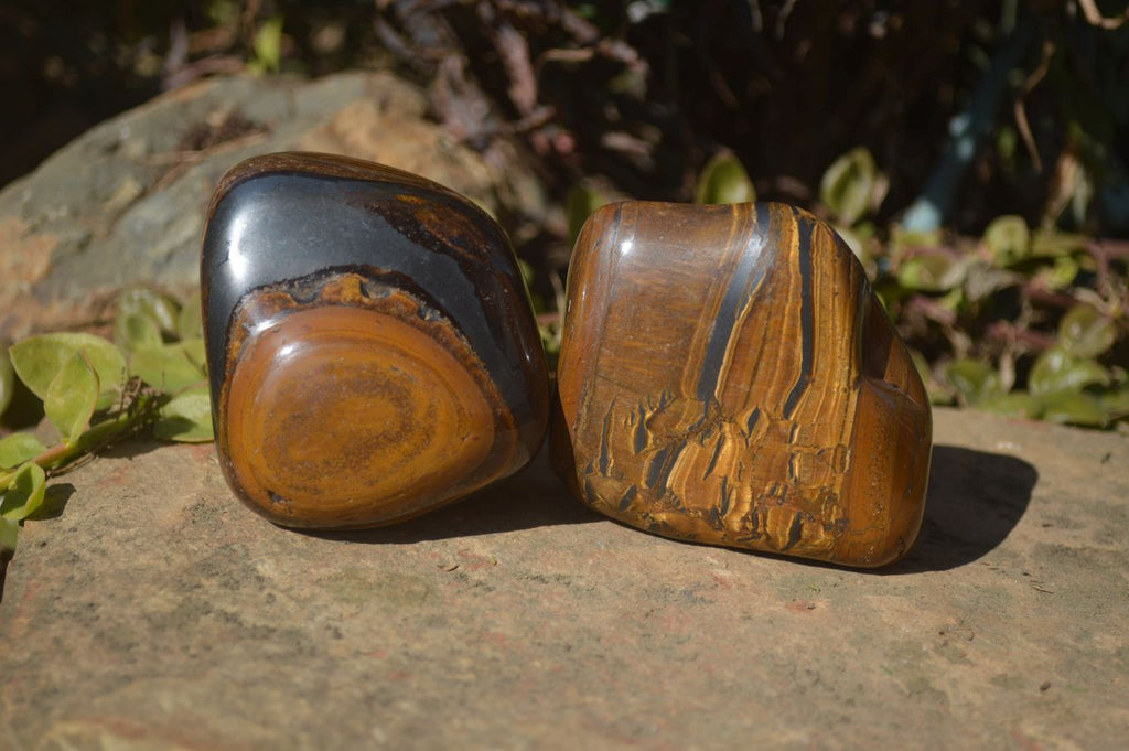 Polished Golden Tigers Eye Free Forms x 3 From Prieska, Northern Cape - Toprock Gemstones and Minerals 
