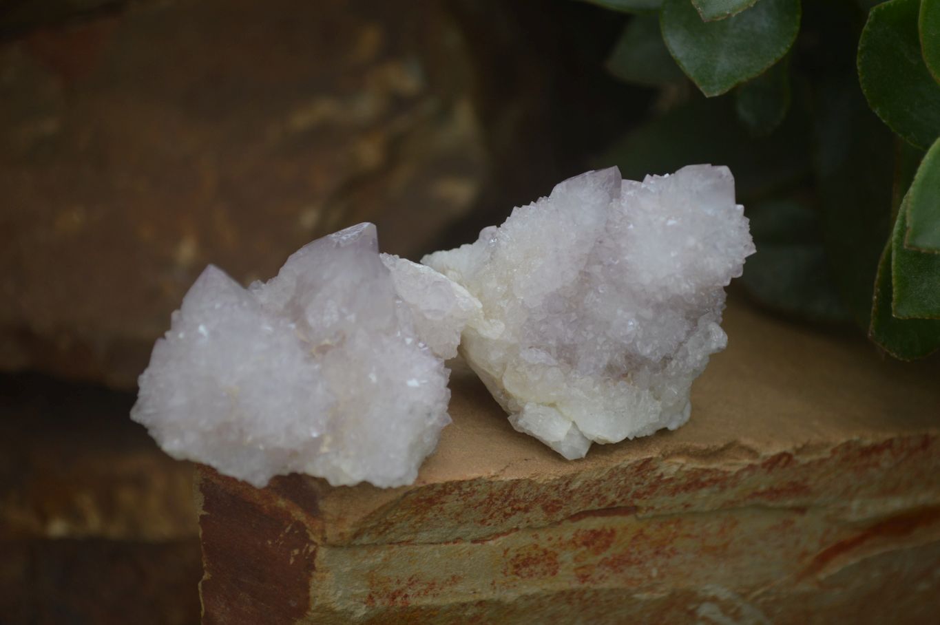 Natural Pale Lilac Spirit Quartz Clusters x 12 From Boekenhouthoek, South Africa - Toprock Gemstones and Minerals 