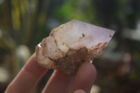 Polished Single Window Amethyst Crystals x 20 From Ankazobe, Madagascar - Toprock Gemstones and Minerals 