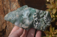 Natural Emerald Mtorolite Plates x 6 From Mutorashanga, Zimbabwe - Toprock Gemstones and Minerals 