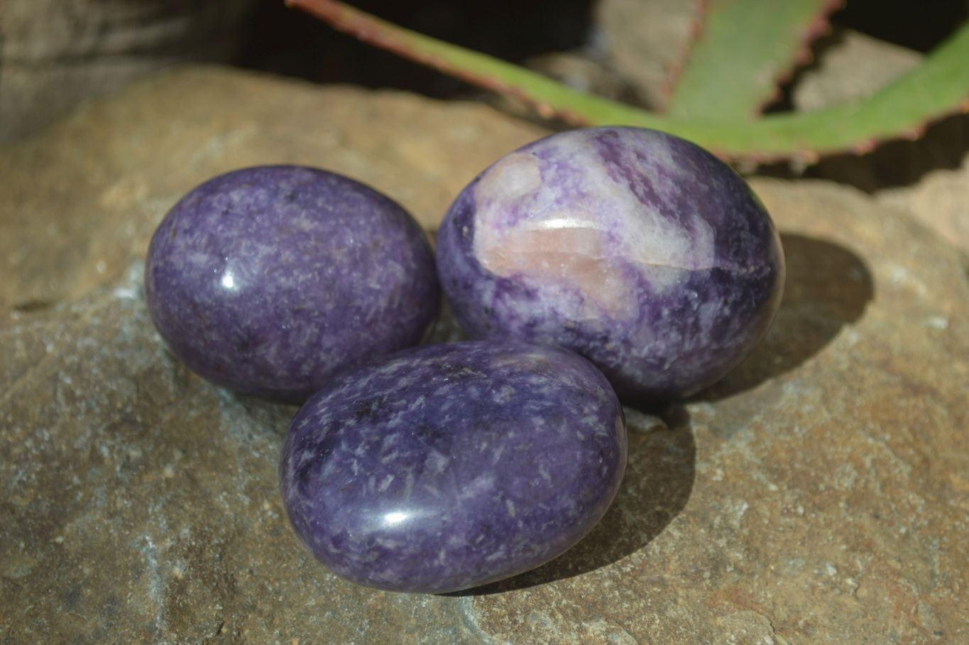 Polished Purple Lepidolite Palm Stones  x 12 From Zimbabwe - Toprock Gemstones and Minerals 