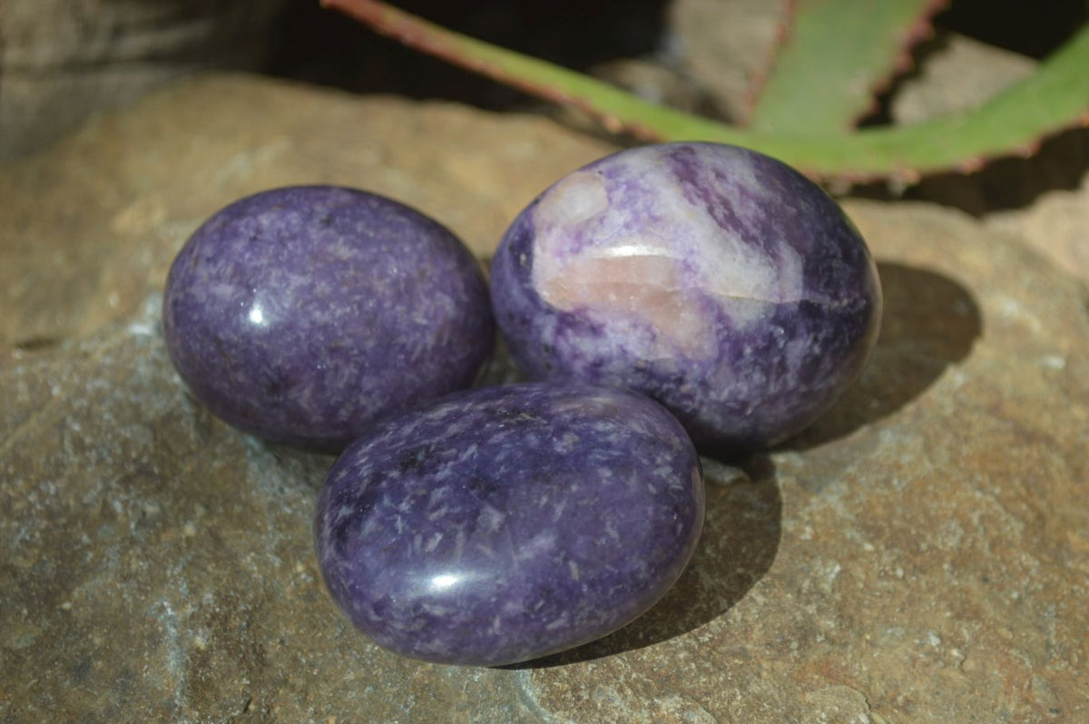 Polished Purple Lepidolite Palm Stones  x 12 From Zimbabwe - Toprock Gemstones and Minerals 