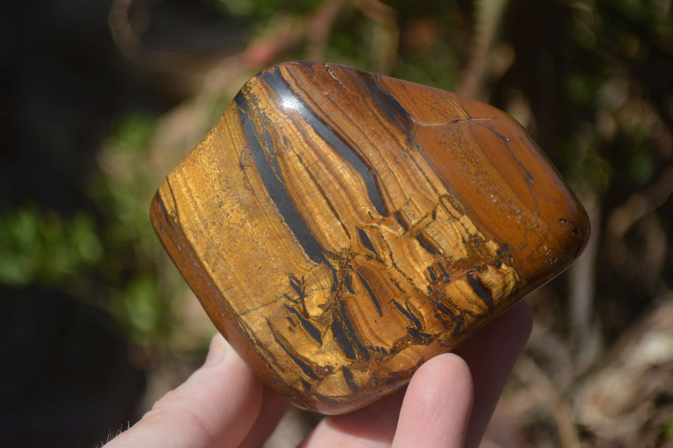 Polished Golden Tigers Eye Free Forms x 3 From Prieska, Northern Cape - Toprock Gemstones and Minerals 