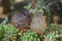 Polished Single Window Amethyst Crystals x 20 From Ankazobe, Madagascar - Toprock Gemstones and Minerals 
