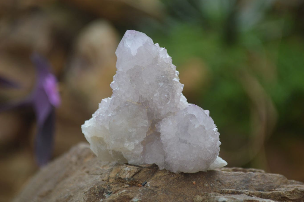 Natural Pale Lilac Spirit Quartz Clusters x 12 From Boekenhouthoek, South Africa - Toprock Gemstones and Minerals 