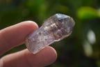 Natural Window Amethyst Crystals  x 12 From Chiredzi, Zimbabwe - Toprock Gemstones and Minerals 