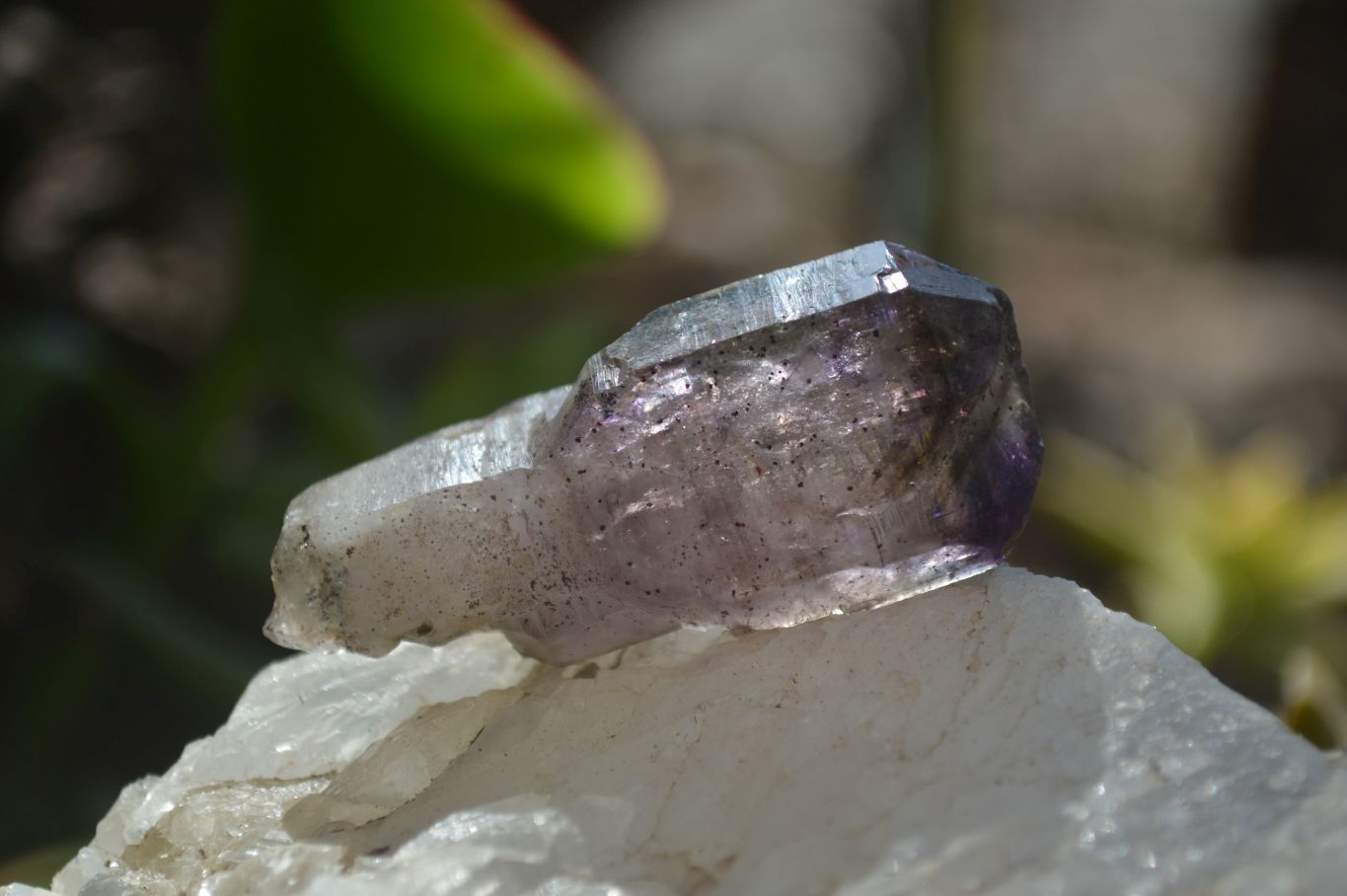 Natural Window Amethyst Crystals  x 12 From Chiredzi, Zimbabwe - Toprock Gemstones and Minerals 