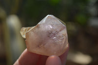Polished Single Window Amethyst Crystals x 20 From Ankazobe, Madagascar - Toprock Gemstones and Minerals 
