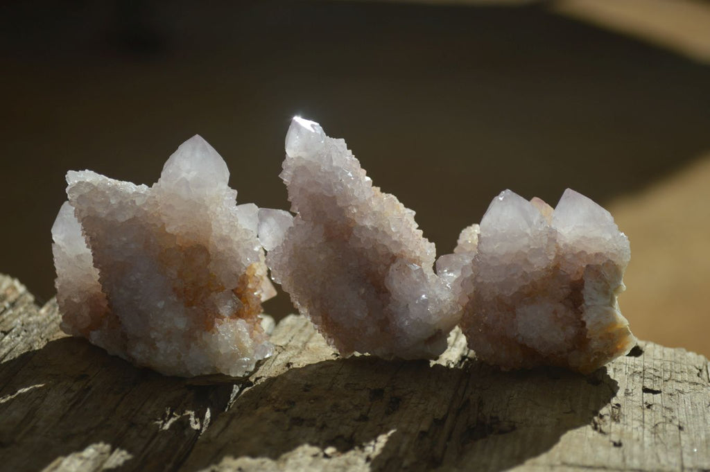 Natural Mixed Spirit Quartz Clusters x 12 From Boekenhouthoek, South Africa - Toprock Gemstones and Minerals 