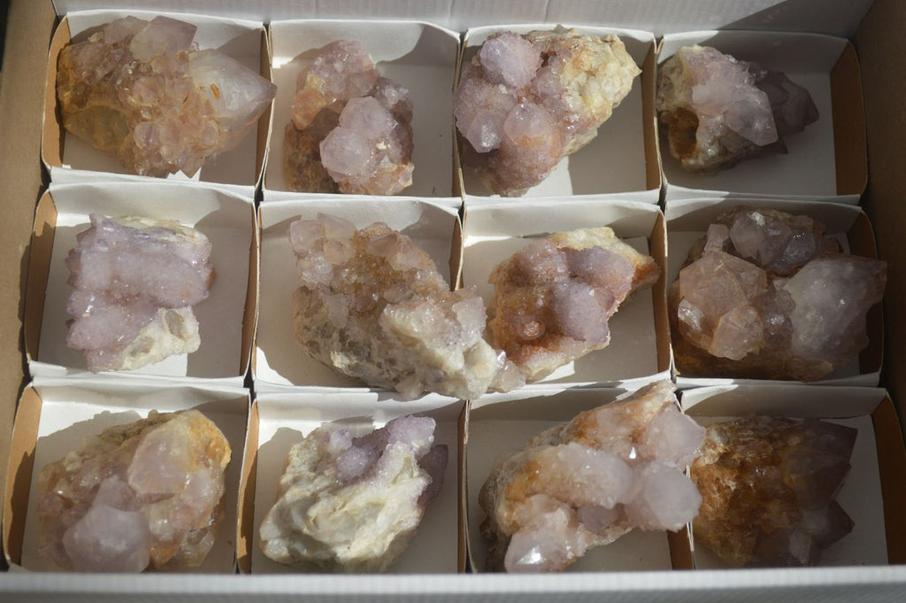 Natural Mixed Spirit Amethyst Quartz Clusters  x 12 From Boekenhouthoek, South Africa - Toprock Gemstones and Minerals 