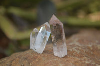 Natural Small Clear & Smokey Quartz Crystals  x 48 From Brandberg, Namibia - Toprock Gemstones and Minerals 