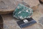 Natural Emerald Mtorolite Plates x 6 From Mutorashanga, Zimbabwe - Toprock Gemstones and Minerals 