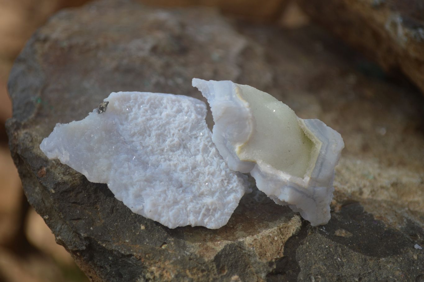 Natural Etched Blue Chalcedony Specimens  x 35 From Nsanje, Malawi - Toprock Gemstones and Minerals 