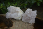 Natural Pale Lilac Spirit Quartz Clusters x 12 From Boekenhouthoek, South Africa - Toprock Gemstones and Minerals 