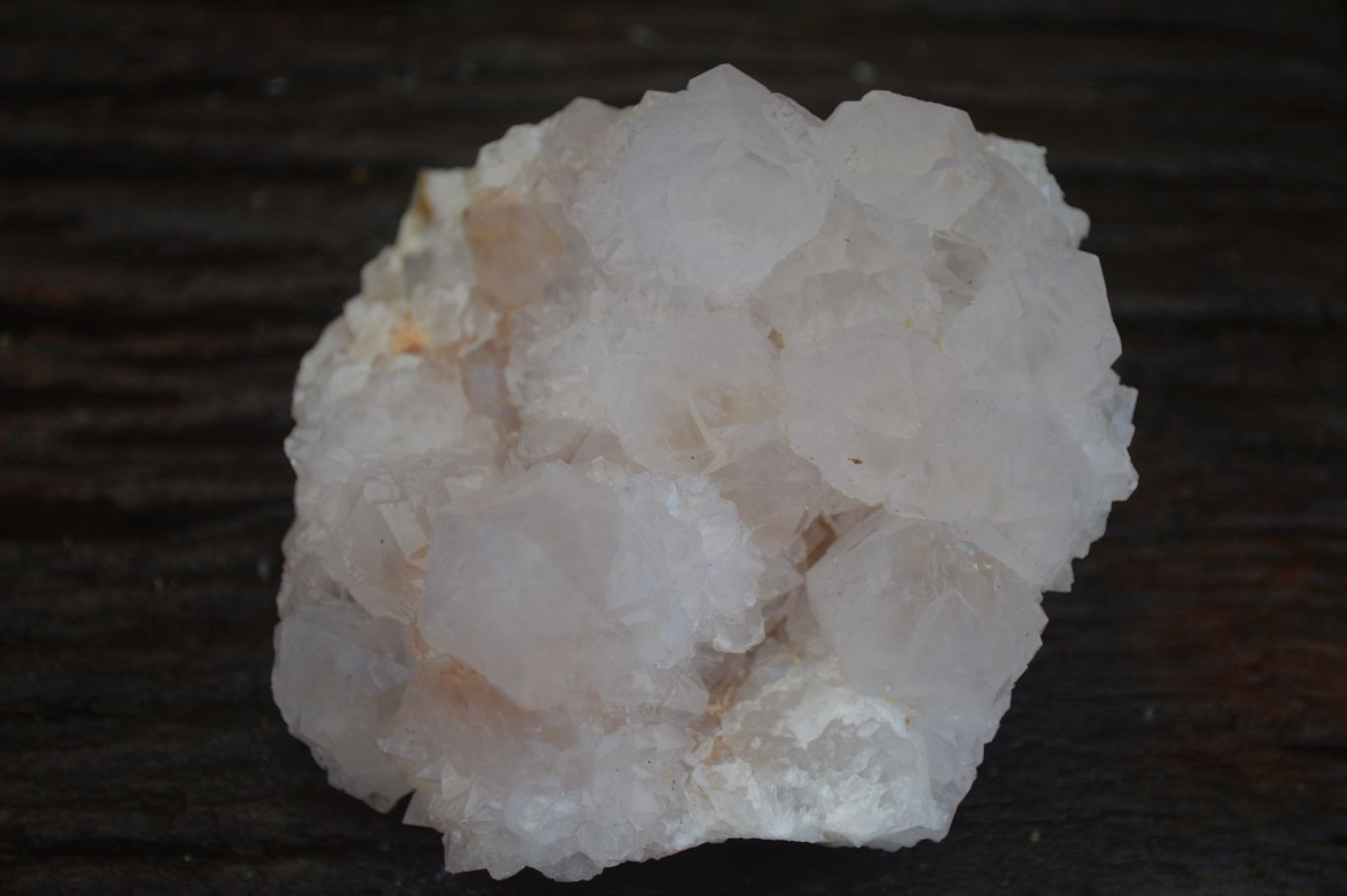 Natural Large White Cactus Flower Spirit Quartz Clusters  x 3 From Boekenhouthoek, South Africa - Toprock Gemstones and Minerals 
